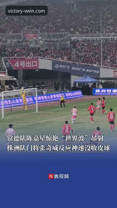 从波黑点球大战失利，看体育赛事背后的深度体验：一位资深用户的德赢体育平台使用心得